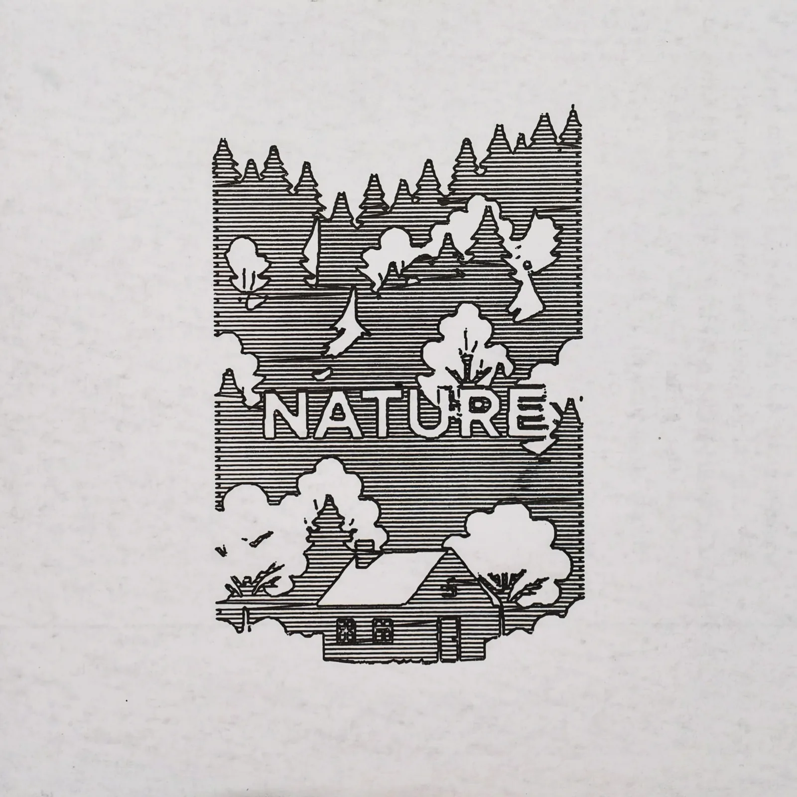 Nature forest house 验证案例的实体绘制输出